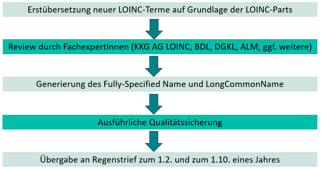 LOINC Übersetzungsprozess beim BfArM in fünf Schritten: 1. Erstübersetzung, 2. Review, 3. Generierung des Fully-Specified Name, 4. Qualitätssicherung, 5. Übergabe an Regenstrief