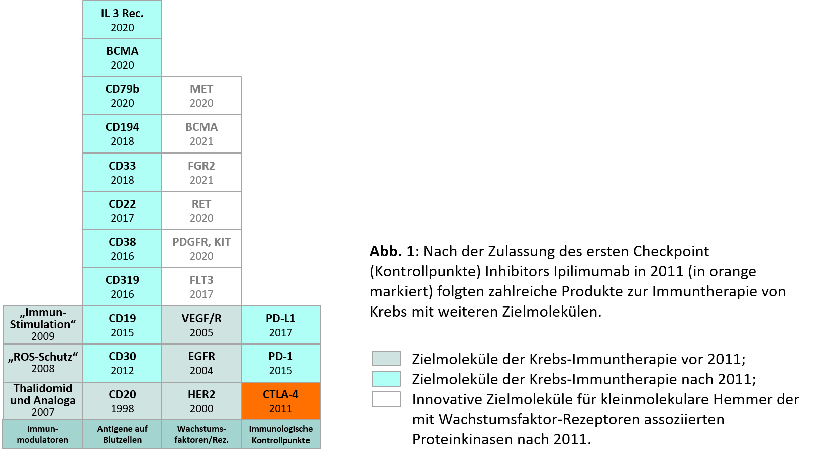 Das Diagramm zeigt die verschiedenen Zielmoleküle für Immunonkologieprodukte und ob die entsprechenden Produkte vor oder nach Ipilimumab (zugelassen 2011) zugelassen wurden. (Quelle: BfArM) Das Diagramm zeigt die verschiedenen Zielmoleküle für Immunonkologieprodukte und ob die entsprechenden Produkte vor oder nach Ipilimumab (zugelassen 2011) zugelassen wurden.