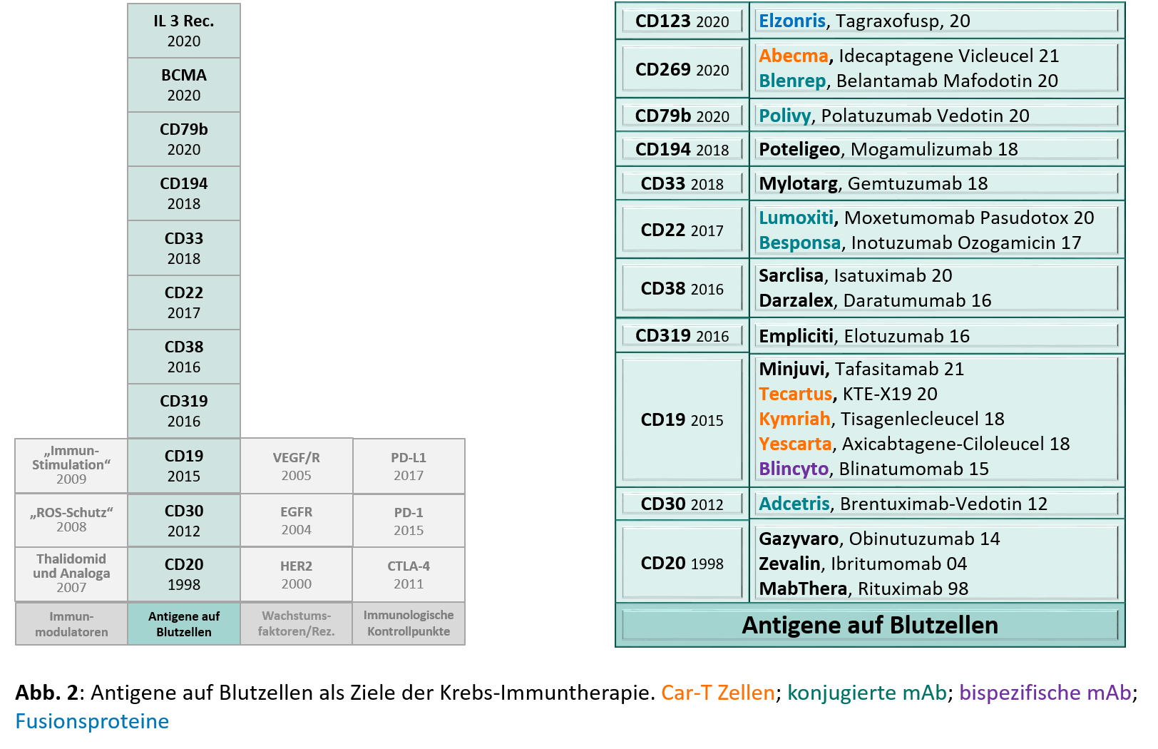 Das Diagramm zeigt die Blutzellantigene als Ziele der Krebsimmuntherapie und die zugelassenen Produkte. Diese sind, unter Anderem, in Car-T-Zellen, konjugierte monoklonale Antikörper, bispezifische monoklonale Antikörper und Fusionsproteine unterteilt. (Quelle: BfArM) Das Diagramm zeigt die Blutzellantigene als Ziele der Krebsimmuntherapie und die zugelassenen Produkte. Diese sind, unter Anderem, in Car-T-Zellen, konjugierte monoklonale Antikörper, bispezifische monoklonale Antikörper und Fusionsproteine unterteilt.