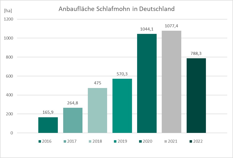 Abb.: Die Anbaufläche (Angabe in Hektar) von Schlafmohn in Deutschland für die Jahre 2016 bis 2022 in Form eines Diagramms (Quelle: BfArM) Abb.: Die Anbaufläche (Angabe in Hektar) von Schlafmohn in Deutschland für die Jahre 2016 bis 2022 in Form eines Diagramms